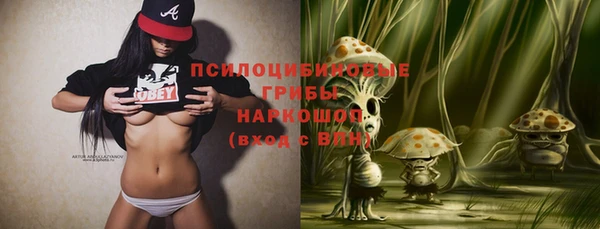 сатива Белокуриха