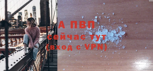 сатива Белокуриха