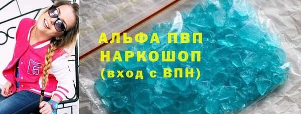 сатива Белокуриха