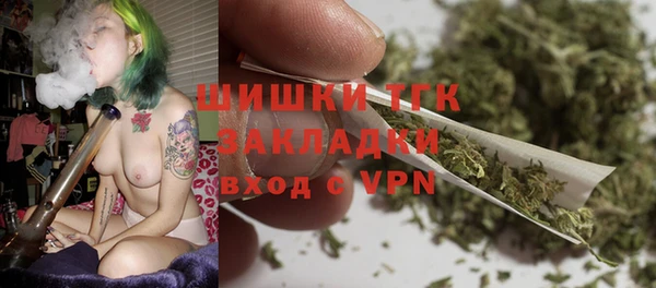 сатива Белокуриха