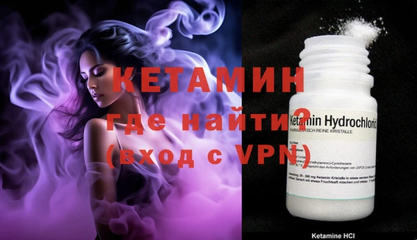 сатива Белокуриха