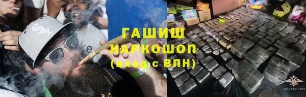 сатива Белокуриха