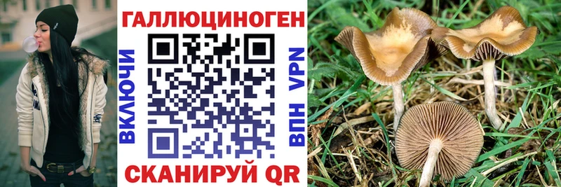 Галлюциногенные грибы мицелий  Енисейск 
